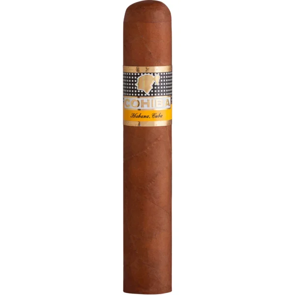 Cohiba Robusto Light brown/Claro
