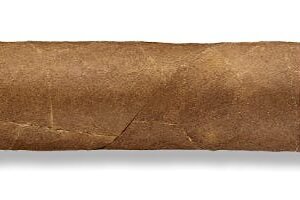 Partagas Serie D N 4 Natural